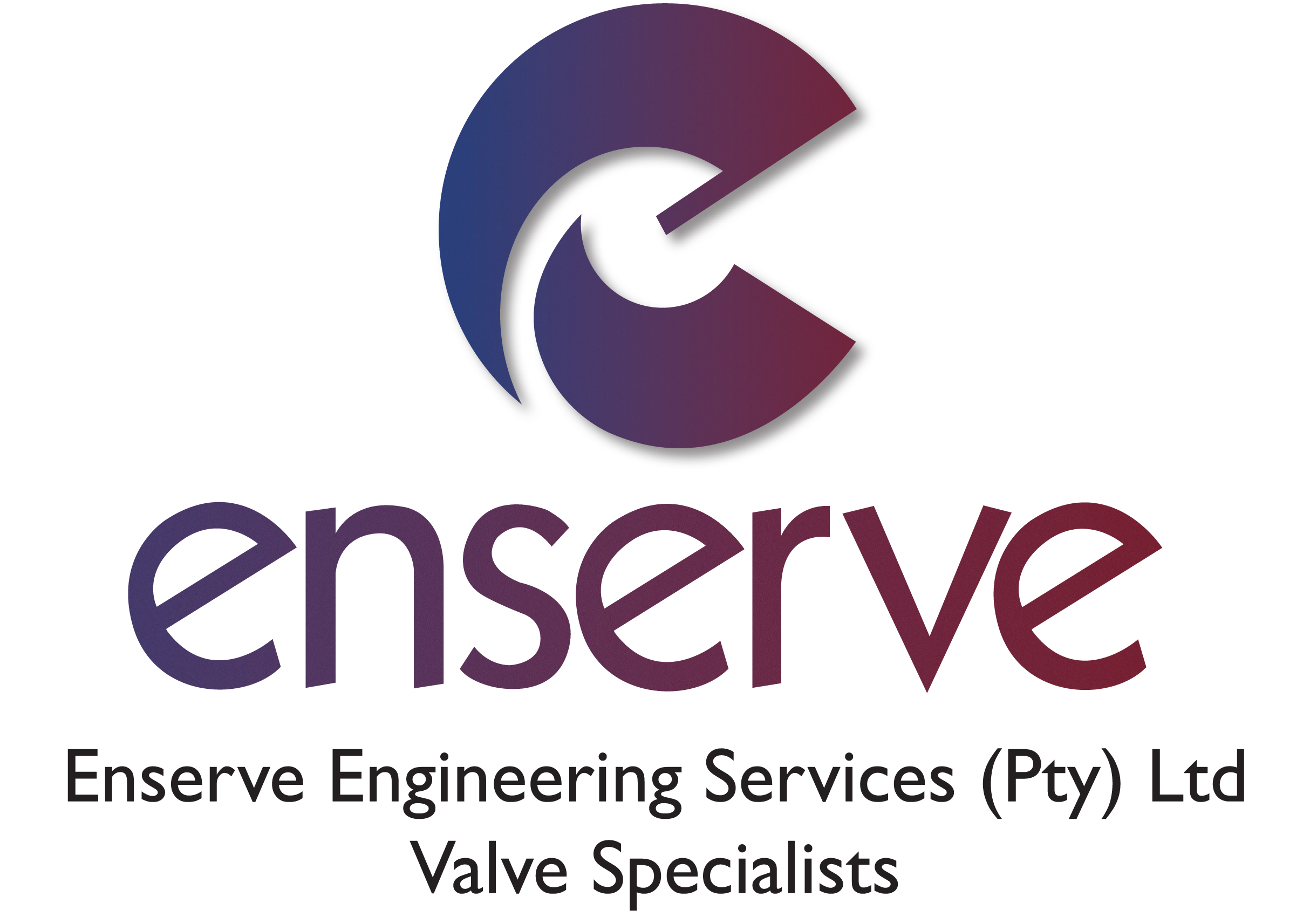 Enserve logo with Valve Specialists